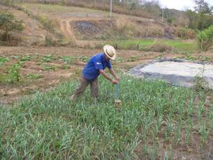 O agricultor Adelson Pereira, primeiro lugar do premio, usa o mecanismo de irrigação nas plantações