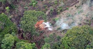 Secretaria de Estado de Meio Ambiente investiga desmatamentos irregulares no Nordeste de Minas