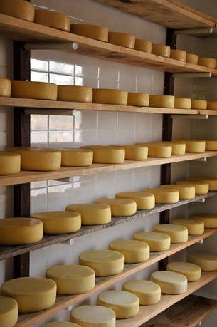  Os queijos serão avaliados de acordo com os critérios: apresentação, cor, textura, consistência, paladar e olfat