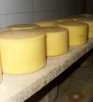 Originário da região de Parma, na Itália, o parmesão é um dos queijos mais consumidos mundialmente