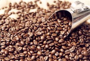 Propriedades de café em Minas estão sendo certificadas