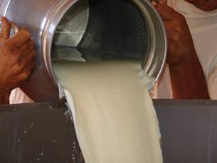 O leite foi o produto de maior destaque da agropecuária e correspondeu a 12%