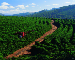 Longos períodos de estiagem afetaram o agronegócio mineiro, como por exemplo a produção de café