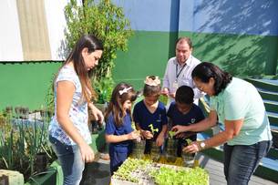 O estudante pode aprender a preparar as hortas de forma criativa e ser informado sobre seu valor nutritivo