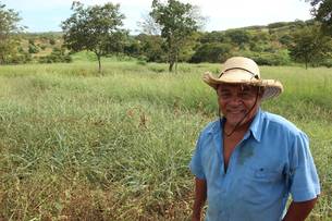 Produtores rurais do Norte de Minas já comemoram os resultados