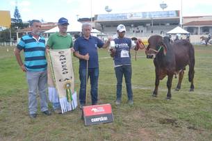 O animal Gabarito Ávila foi o grande campeão na premiação do gir leiteiro
