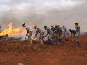 Trabalho dos brigadistas é fundamental para o combate a incêndio em Minas Gerais 