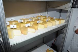 O ganhador receberá um certificado de melhor queijo minas artesanal do estado