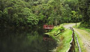 Parque Estadual da Serra do Brigadeiro conta com uma área de extensão de 14.984 hectares