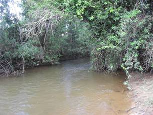 Córrego Itapirapuã será recuperado