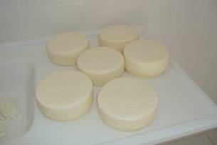 Diariamente são produzidos cerca de 25 quilos de queijo