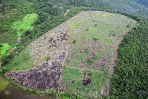 Operação Serra negra identifica pontos de desmatamento