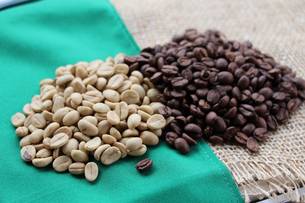 Diversas variáveis compõem a produção do café especial, como clima, topografia, solo e forma de processamento