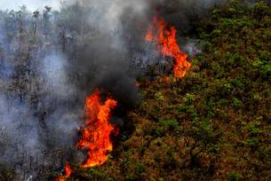 Governo de Minas Gerais também tem uma força-tarefa permanente para ações de prevenção e combate a incêndios florestais, o Previncêndio