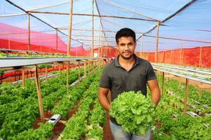 Aos 23 anos, Cássio Antônio trocou a capital pela produção de hortaliças no Vale do Rio e comemora os bons resultados
