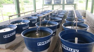 Sistema de recirculação da água para cultivo de peixes