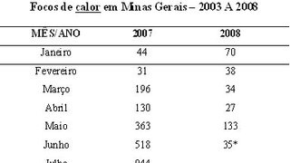 Focos de calor em Minas Gerais – 2003 A 2008