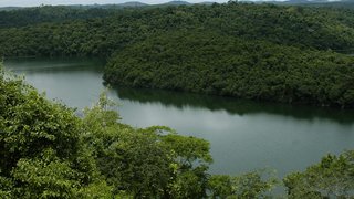 Parque do Rio Doce é primeira unidade de conservação estadual de Minas Gerais