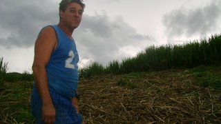O produtor Umberto de Oliveira Paula no canavial agroecológico