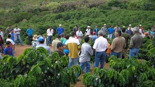 Certificação do café melhora gestão nas fazendas mineiras