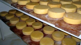 Agregaminas fortalece produção de queijo e mel no Estado