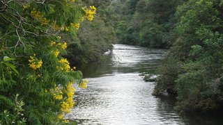Rio Piracicaba, um dos principais afluentes do rio Doce