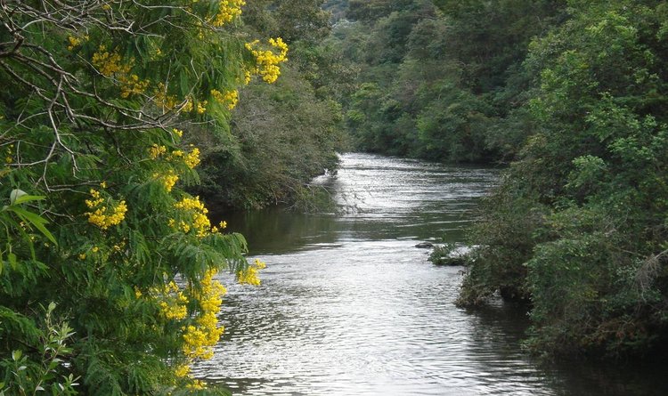 Rio Piracicaba, um dos principais afluentes do rio Doce