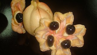 Ackee - fruta típica da Jamaica