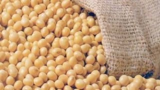 De 1º de julho a 30 de setembro, é proibido o plantio de soja em Minas