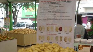 Batatas ágata e as informações sobre a segmentação do produto