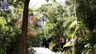 O parque está na zona de transição entre os biomas Cerrado e Caatinga