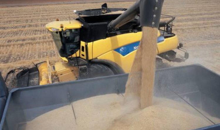 Minas Gerais deve produzir 10,5 milhões de toneladas de grãos em 2011