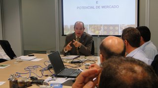 Cultivo de macaúba em Minas Gerais atrai investidores