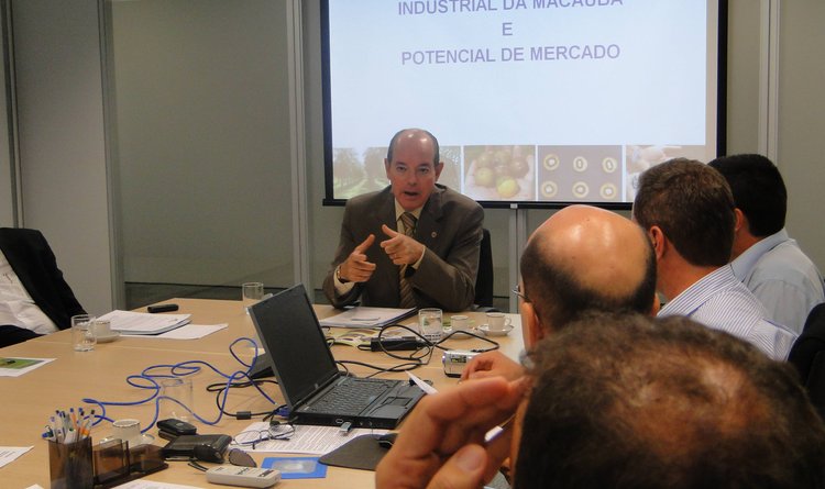 Reunião com representantes de setores ligados a programas da macaúba
