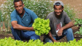 Fabrício Silva e José Luiz na plantação de alface da Fazenda Caiçara