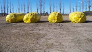 Governo de Minas vai à Argentina conhecer tecnologia para destinação final do lixo