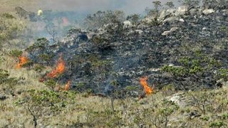Governo de Minas lançará na quarta-feira campanha de combate a incêndios florestais