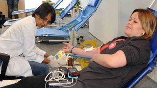 Servidores reforçam banco de sangue do Hemominas
