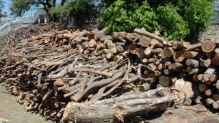 Primeiro lote de madeiras produzidas com a supressão de árvores do Mineirão