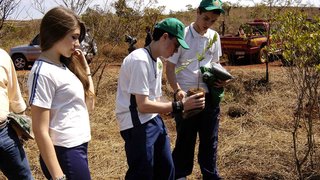 Estudantes ajudam a plantar as mudas de árvores