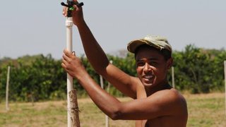 Programa de Eficiência Energética do Governo de Minas reduz despesas de agricultores do Jaíba