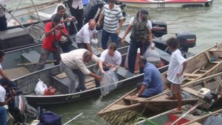 Secretário Adriano Magalhães faz soltura de alevinos no rio São Francisco