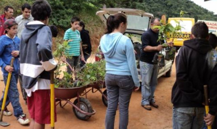 No mês de novembro, os estudantes plantaram mudas na Fazenda Esperança