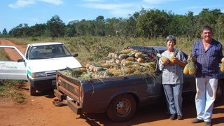 O assentado João Batista e sua esposa levam abacaxis do Nilson para vender
