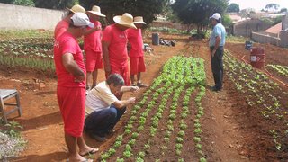 Presos do Sul de Minas cultivam horta com orientações da Emater