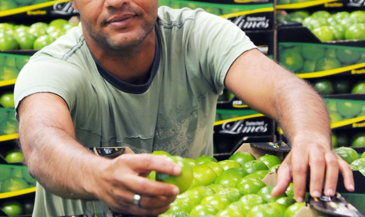 O Norte de Minas exporta cerca de 8.140 toneladas de limão e manga para a Europa por ano