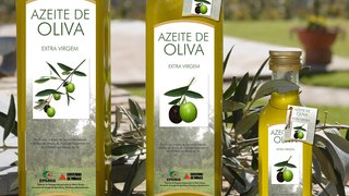 Azeite de Oliva produzido a partir de azeitonas colhidas na Fazenda Experimental de Maria da Fé
