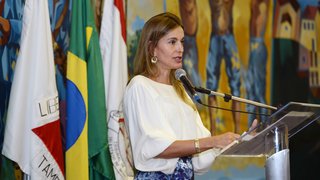 A secretária de Estado de Planejamento e Gestão, Renata Vilhena, anunciou a criação do estatuto