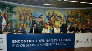 A secretária de Estado de Planejamento e Gestão, Renata Vilhena, anunciou a criação do estatuto