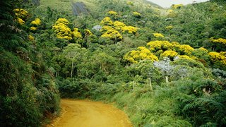Em Minas Gerais o Ibitipoca é uma das Unidades de Conservação Estaduais mais visitadas